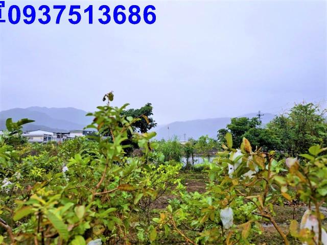 宜蘭員山農地-6