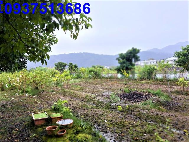 宜蘭員山農地-1