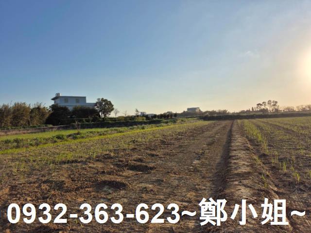 新屋農地-1