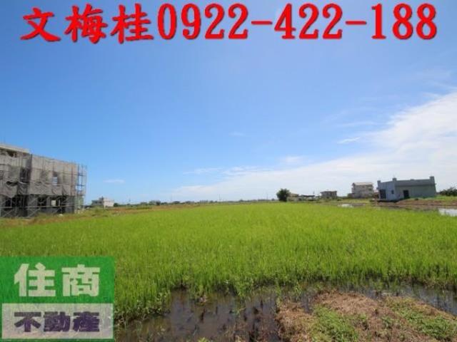 宜蘭礁溪農地-1
