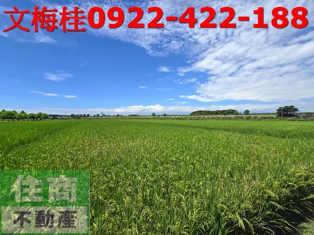 宜蘭壯圍農地-2