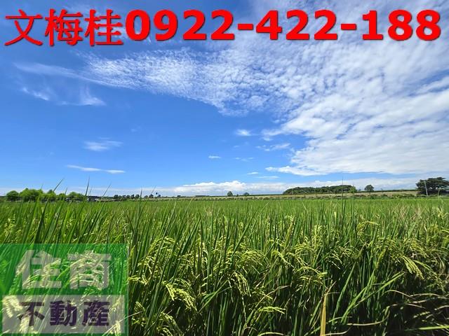 宜蘭壯圍農地-4