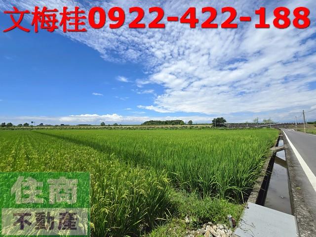 宜蘭壯圍農地-9