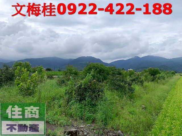 宜蘭三星農地-2