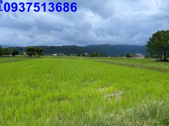 宜蘭三星農地-3