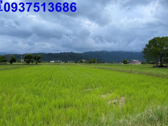 宜蘭三星農地-7