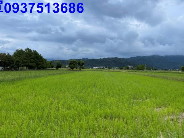 宜蘭三星農地-9