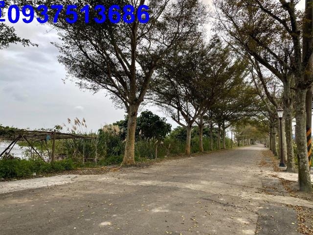 宜蘭頭城養殖地-13