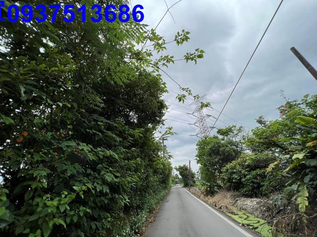 員山農地-15