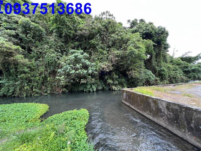 員山農地-3