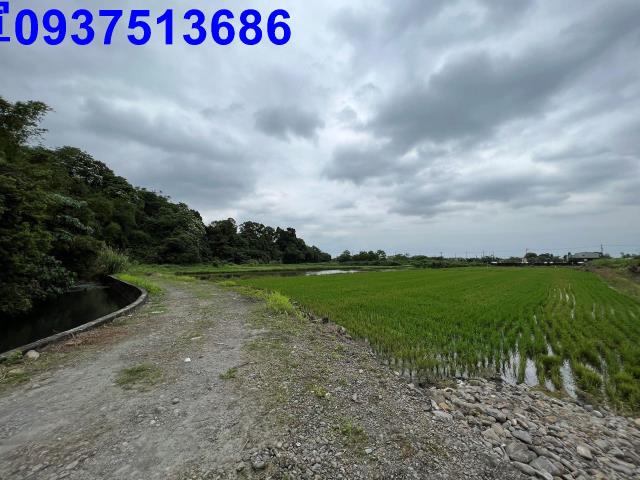 員山農地-8