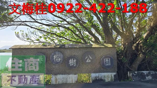 宜蘭農地-4