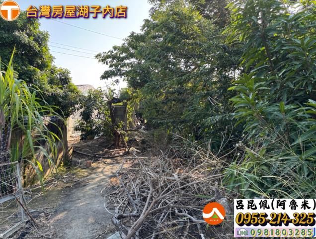 嘉義西區農地-2