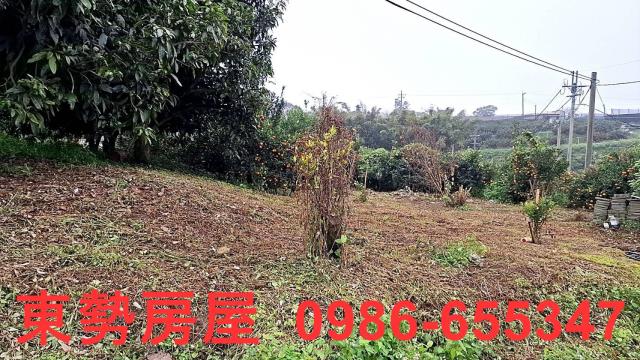 卓蘭農地-2
