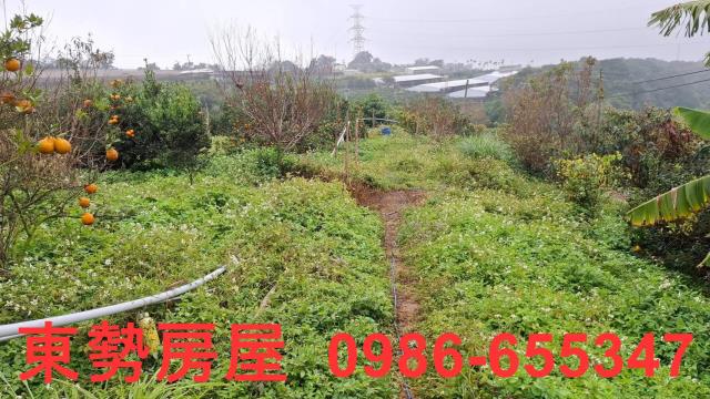 卓蘭農地-4
