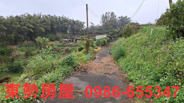 卓蘭農地-6