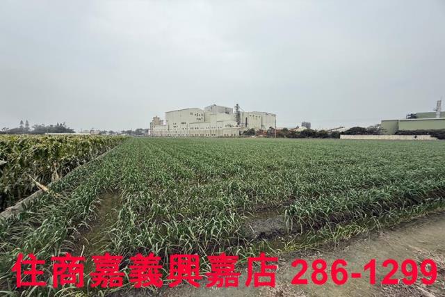 雲林建地-9