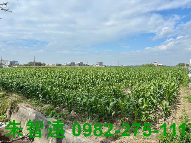 鹽水農地-3