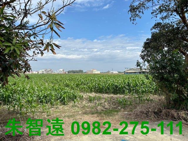 鹽水農地-6
