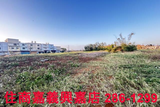 新豐農地-7