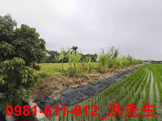 美濃農地-3