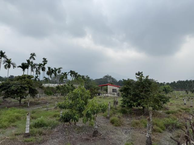 鹽埔農地-5
