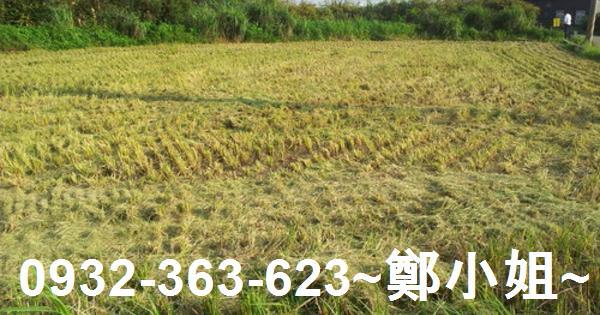 桃園農地-9