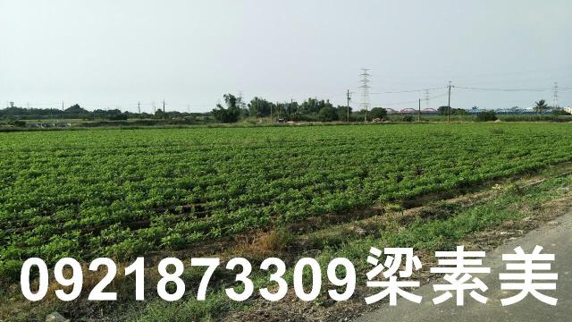 善化農地-10