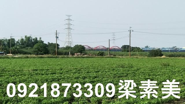 善化農地-11
