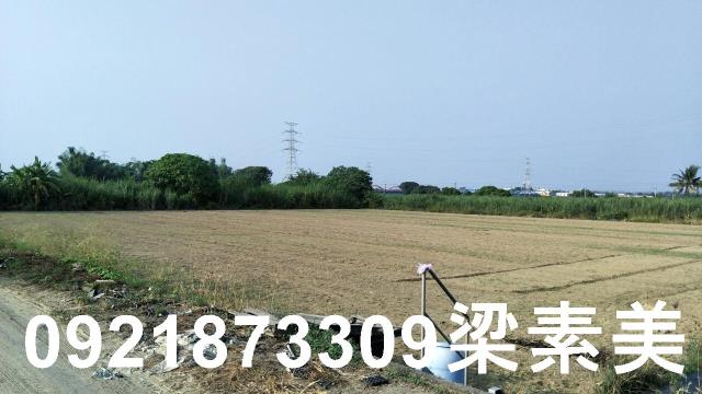 善化農地-1