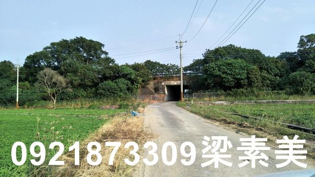 善化農地-3