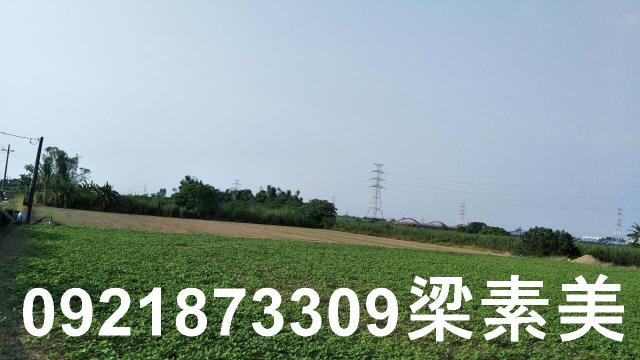 善化農地-4