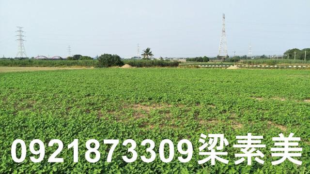 善化農地-5
