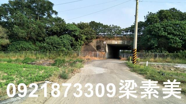 善化農地-6