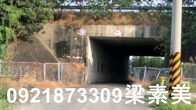 善化農地-7