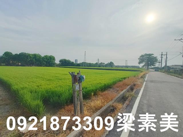 善化農地-1
