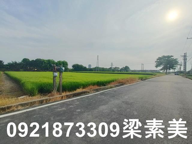 善化農地-2