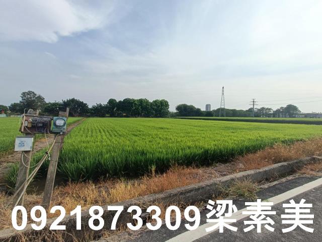 善化農地-6