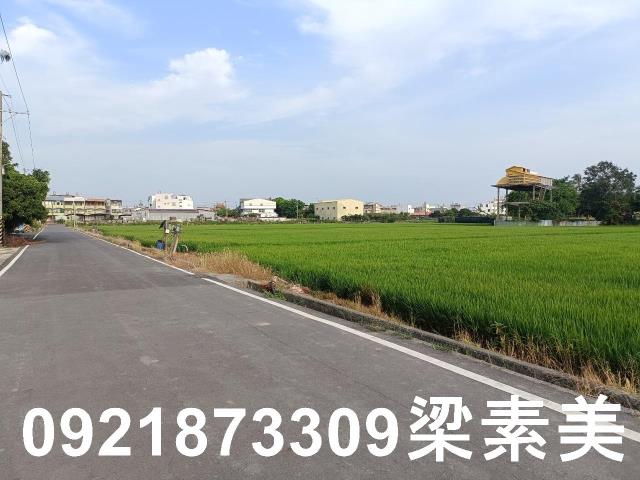 善化農地-7