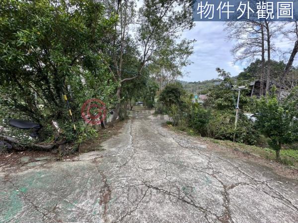 新竹竹東農地-2