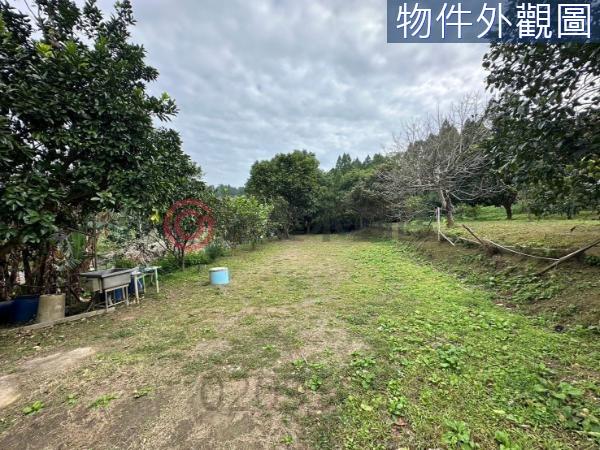 新竹竹東農地-5