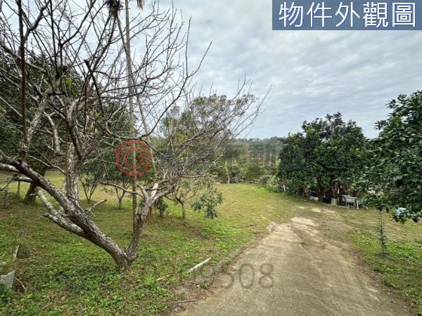 新竹竹東農地-6