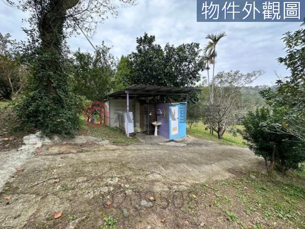 新竹竹東農地-9