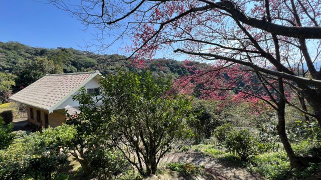 芎林農地-10