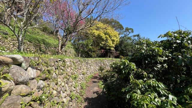 芎林農地-13