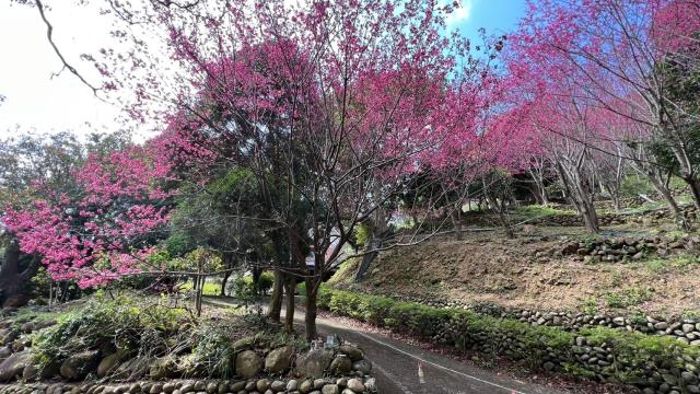 芎林農地-1