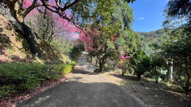 芎林農地-3