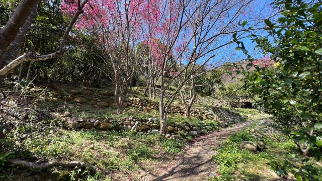 芎林農地-7