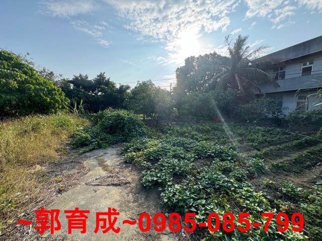 嘉義民雄建地-7