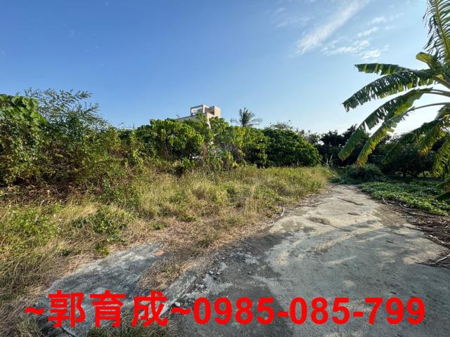 嘉義民雄建地-8